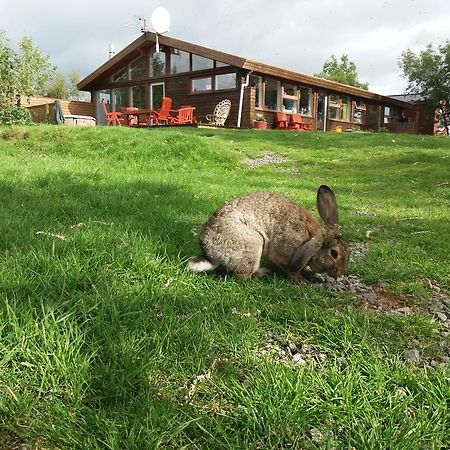 Geysir Hestar Hostel Haukadalur Kültér fotó